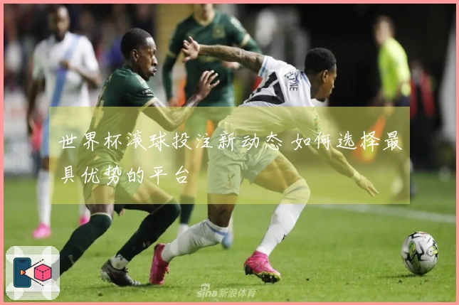 世界杯滚球投注新动态 如何选择最具优势的平台