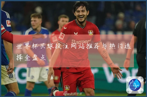 世界杯买球投注网站推荐与热门选择全盘点