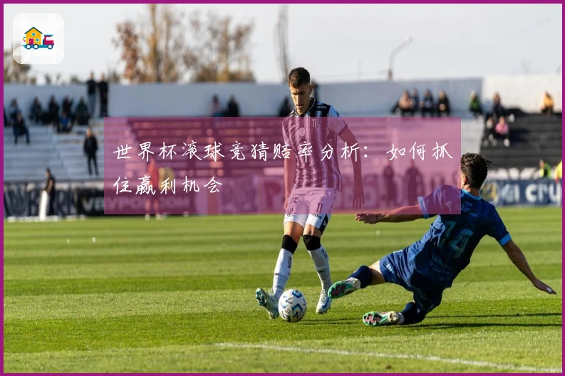 世界杯滚球竞猜赔率分析：如何抓住赢利机会