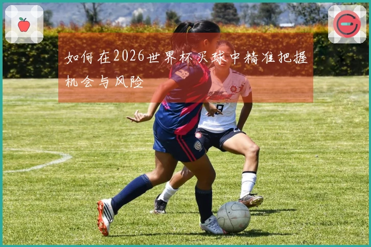 如何在2026世界杯买球中精准把握机会与风险