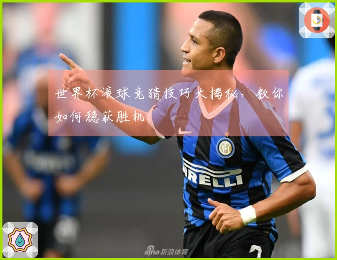 世界杯滚球竞猜技巧大揭秘，教你如何稳获胜机
